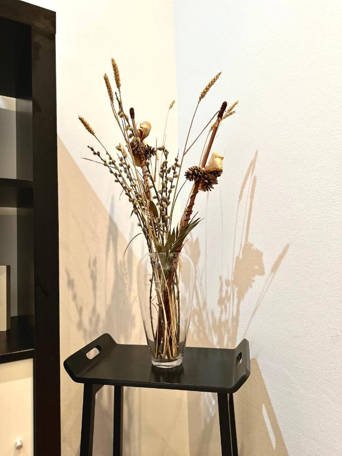 Harmony Homes- Piata Unirii Central Apartament ทิมิชัวรา ภายนอก รูปภาพ
